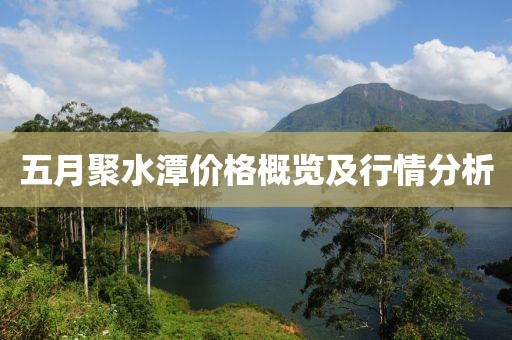五月聚水潭价格概览及行情分析