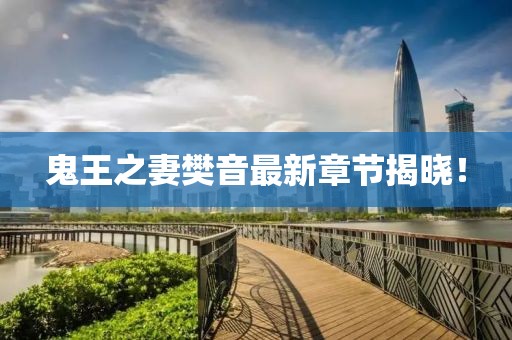 鬼王之妻樊音最新章节揭晓！