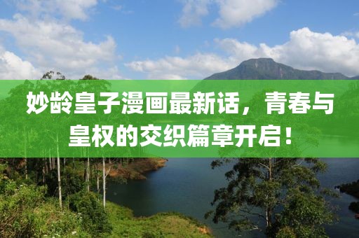 妙龄皇子漫画最新话，青春与皇权的交织篇章开启！
