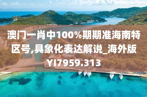 澳门一肖中100%期期准海南特区号,具象化表达解说_海外版YI7959.313
