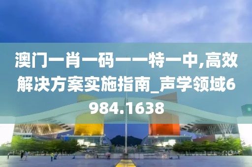 澳门一肖一码一一特一中,高效解决方案实施指南_声学领域6984.1638