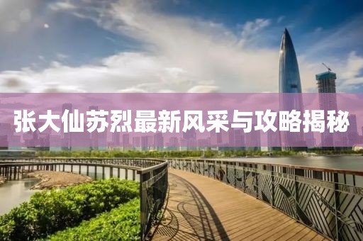 张大仙苏烈最新风采与攻略揭秘