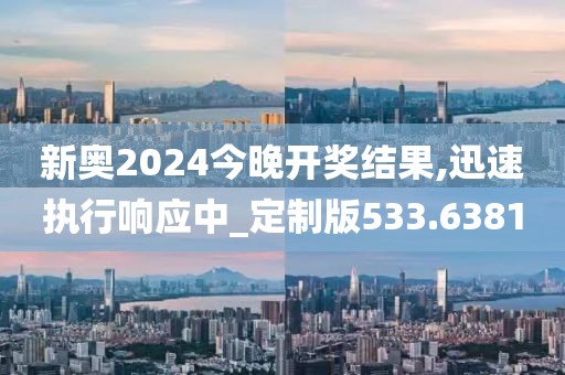 新奥2024今晚开奖结果,迅速执行响应中_定制版533.6381