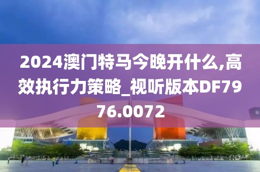 2024澳门特马今晚开什么,高效执行力策略_视听版本DF7976.0072