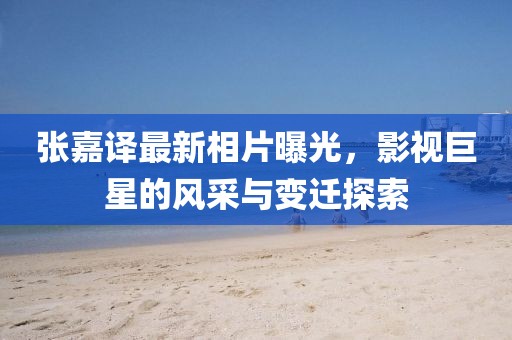 张嘉译最新相片曝光，影视巨星的风采与变迁探索