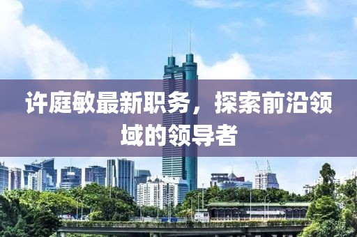 许庭敏最新职务，探索前沿领域的领导者