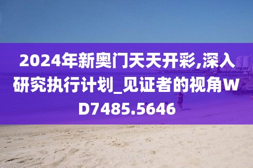 2024年新奥门天天开彩,深入研究执行计划_见证者的视角WD7485.5646