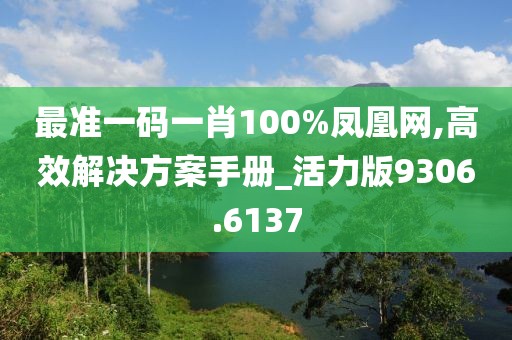 最准一码一肖100%凤凰网,高效解决方案手册_活力版9306.6137