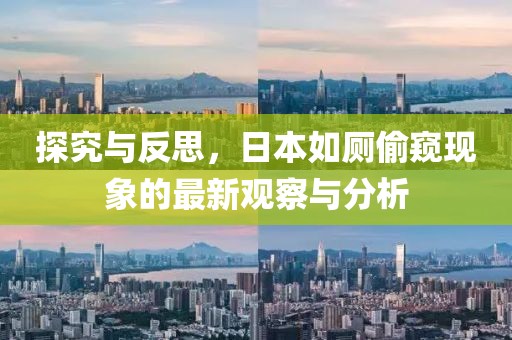 探究与反思，日本如厕偷窥现象的最新观察与分析