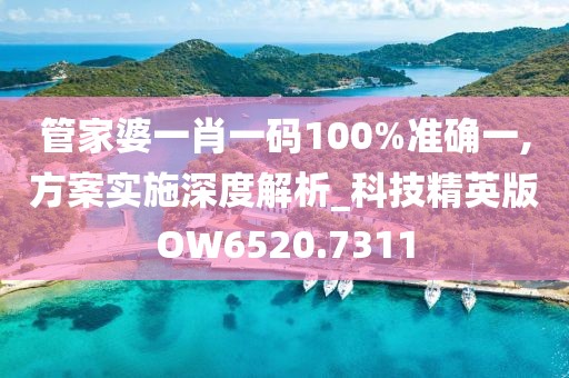 管家婆一肖一码100%准确一,方案实施深度解析_科技精英版OW6520.7311