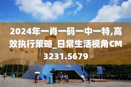 2024年一肖一码一中一特,高效执行策略_日常生活视角CM3231.5679