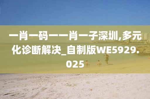 一肖一码一一肖一子深圳,多元化诊断解决_自制版WE5929.025