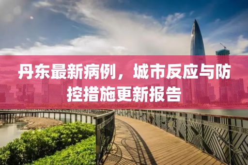 丹东最新病例，城市反应与防控措施更新报告