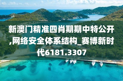 新澳门精准四肖期期中特公开,网络安全体系结构_赛博新时代6181.3307