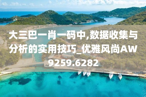 大三巴一肖一码中,数据收集与分析的实用技巧_优雅风尚AW9259.6282