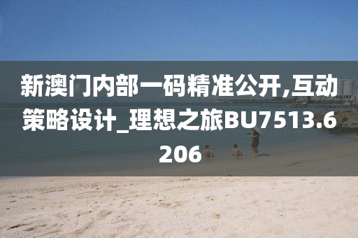 新澳门内部一码精准公开,互动策略设计_理想之旅BU7513.6206