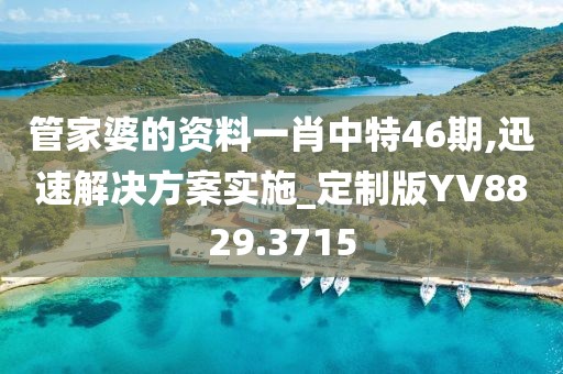 管家婆的资料一肖中特46期,迅速解决方案实施_定制版YV8829.3715