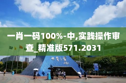 一肖一码100%-中,实践操作审查_精准版571.2031