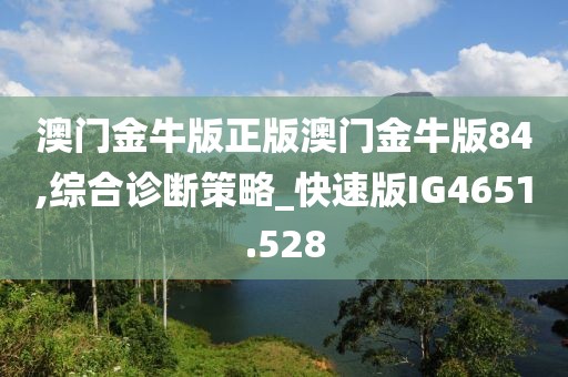 澳门金牛版正版澳门金牛版84,综合诊断策略_快速版IG4651.528