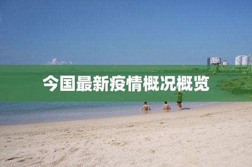 今国最新疫情概况概览