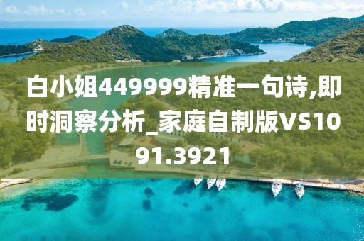 白小姐449999精准一句诗,即时洞察分析_家庭自制版VS1091.3921