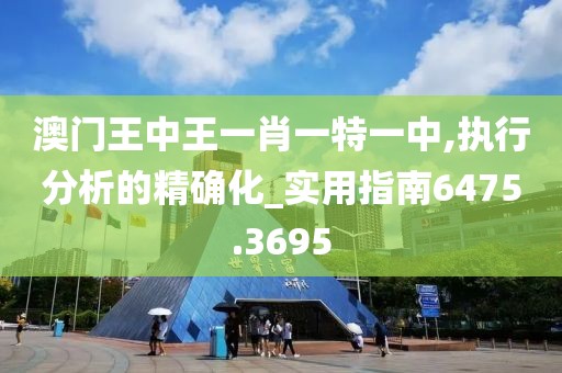 澳门王中王一肖一特一中,执行分析的精确化_实用指南6475.3695