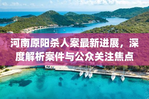 河南原阳杀人案最新进展，深度解析案件与公众关注焦点