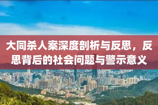 大同杀人案深度剖析与反思，反思背后的社会问题与警示意义