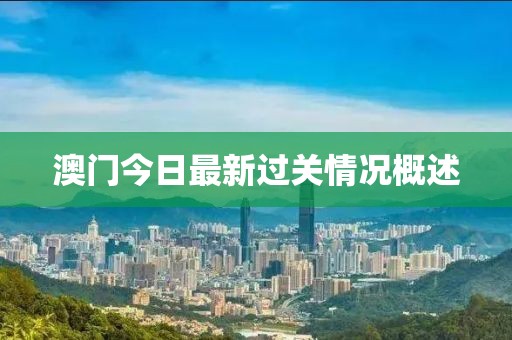 澳门今日最新过关情况概述