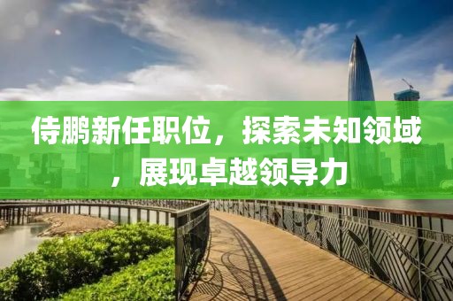 侍鹏新任职位，探索未知领域，展现卓越领导力