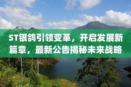 ST银鸽引领变革，开启发展新篇章，最新公告揭秘未来战略