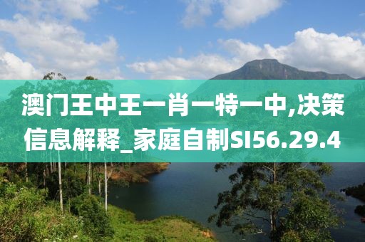 澳门王中王一肖一特一中,决策信息解释_家庭自制SI56.29.4