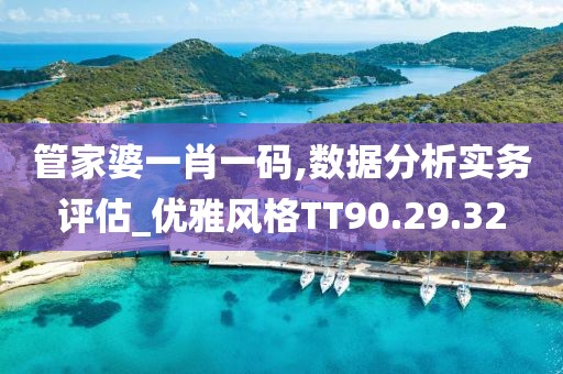 管家婆一肖一码,数据分析实务评估_优雅风格TT90.29.32