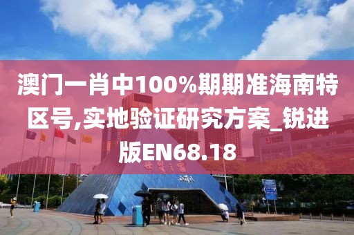 澳门一肖中100%期期准海南特区号,实地验证研究方案_锐进版EN68.18