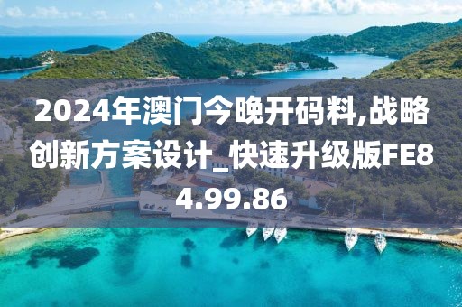 2024年澳门今晚开码料,战略创新方案设计_快速升级版FE84.99.86