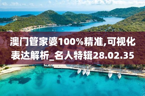 澳门管家婆100%精准,可视化表达解析_名人特辑28.02.35