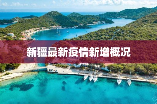 新疆最新疫情新增概况