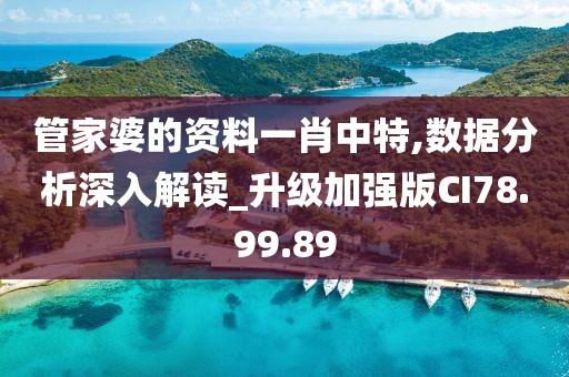 管家婆的资料一肖中特,数据分析深入解读_升级加强版CI78.99.89