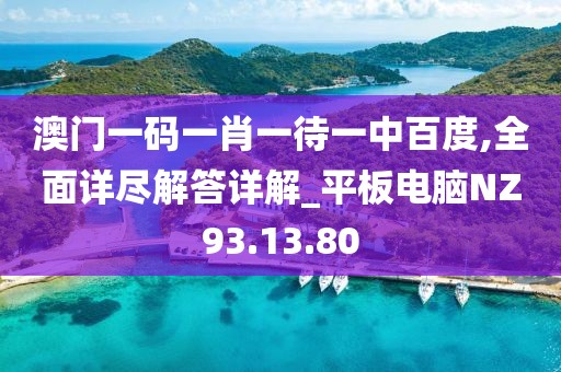 澳门一码一肖一待一中百度,全面详尽解答详解_平板电脑NZ93.13.80