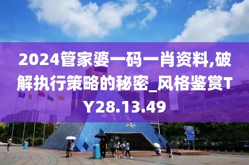 2024管家婆一码一肖资料,破解执行策略的秘密_风格鉴赏TY28.13.49