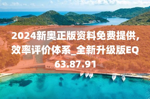 2024新奥正版资料免费提供,效率评价体系_全新升级版EQ63.87.91