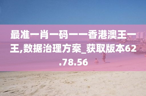 最准一肖一码一一香港澳王一王,数据治理方案_获取版本62.78.56