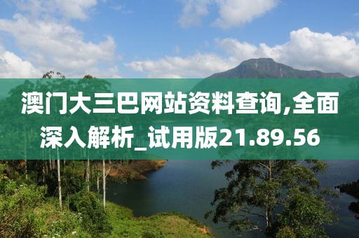澳门大三巴网站资料查询,全面深入解析_试用版21.89.56