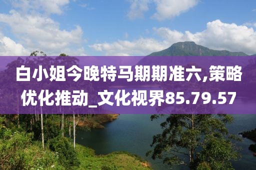 白小姐今晚特马期期准六,策略优化推动_文化视界85.79.57