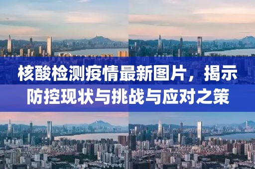 核酸检测疫情最新图片，揭示防控现状与挑战与应对之策
