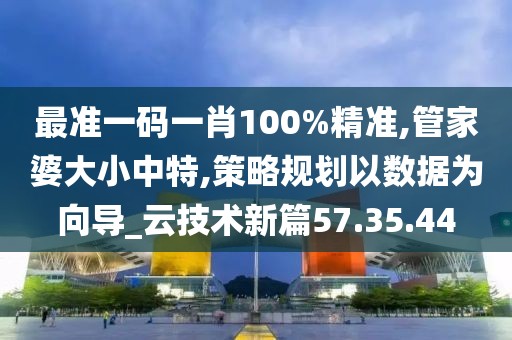最准一码一肖100%精准,管家婆大小中特,策略规划以数据为向导_云技术新篇57.35.44