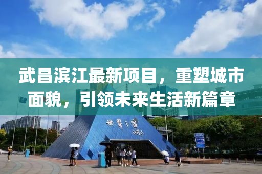 武昌滨江最新项目，重塑城市面貌，引领未来生活新篇章