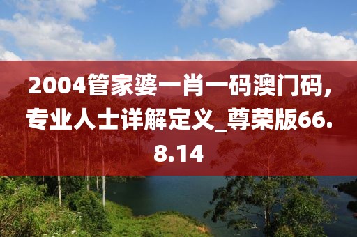 2004管家婆一肖一码澳门码,专业人士详解定义_尊荣版66.8.14