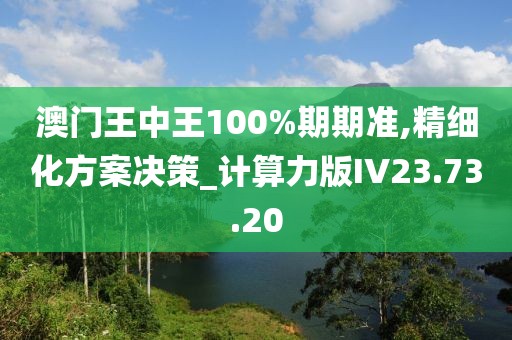 澳门王中王100%期期准,精细化方案决策_计算力版IV23.73.20