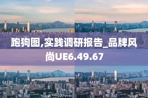 跑狗图,实践调研报告_品牌风尚UE6.49.67